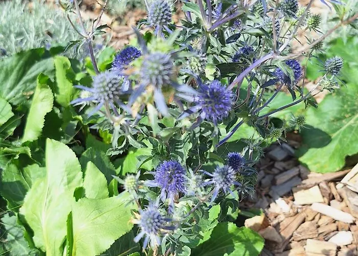 Magnifique Duplex Cosy Avec Vue Cote D'opale *