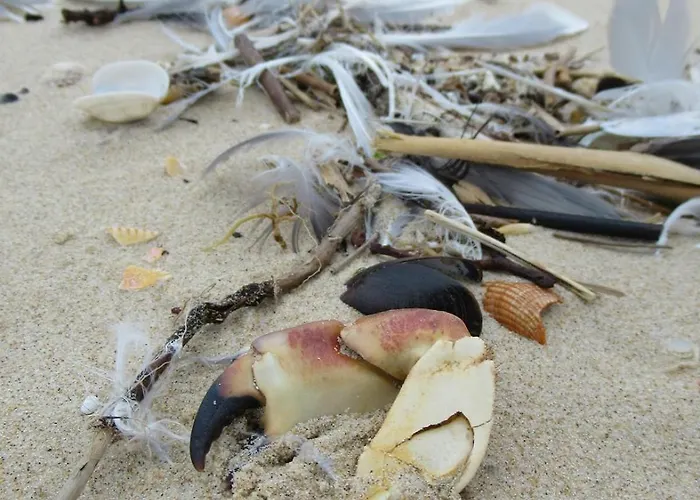 Magnifique Duplex Cosy Avec Vue Cote D'opale *