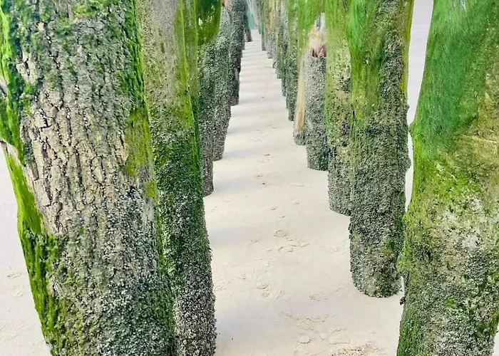 Appartamento Magnifique Duplex Cosy Avec Vue Cote D'opale Wimereux