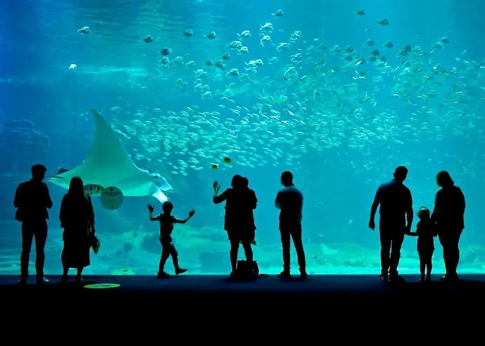 Magnifique Duplex Cosy Avec Vue Cote D'opale