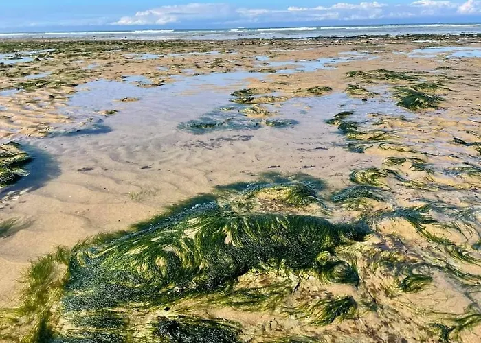 Appartamento Magnifique Duplex Cosy Avec Vue Cote D'opale *